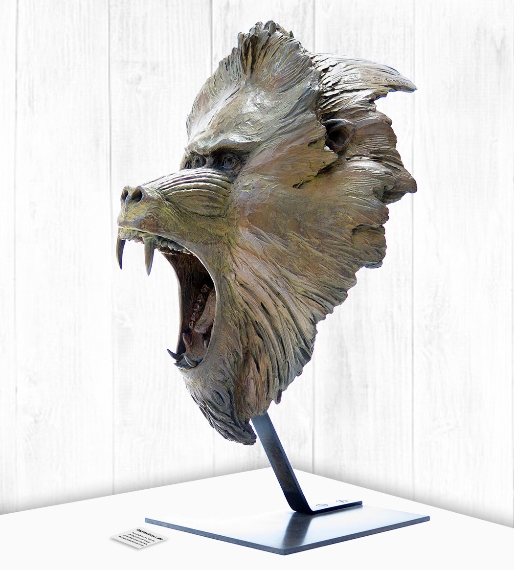 PierreJean CHABERT à Lyon à la Galerie DON CARLI