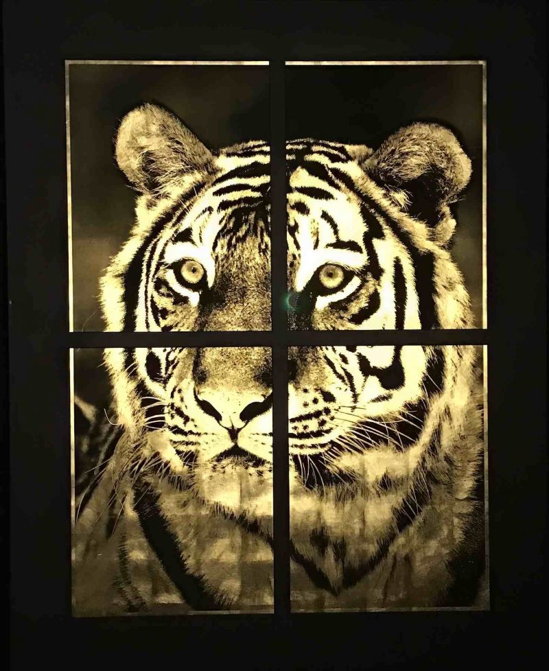 Maharani 101x125,5cm - Jean-Philippe Rigotti - Galerie Don Carli