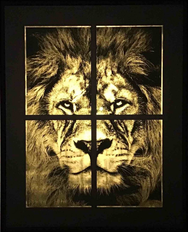 Malawi 101x125,5cm - Jean-Philippe Rigotti - Galerie Don Carli