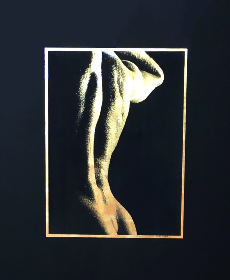 Maximâle 82x68cm - Jean Philippe Rigotti - Galerie Don Carli