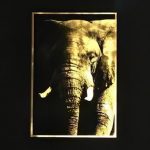 Puissance 85x70cm - Jean-Philippe Rigotti - Galerie Don Carli