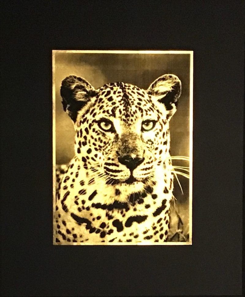 Volte-face 82,5x68cm - Jean-Philippe Rigotti - Galerie Don Carli