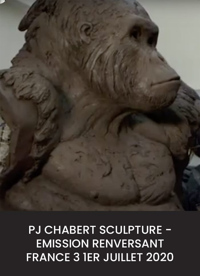 France 3 Pierre-Jean Chabert - Galerie Don Carli