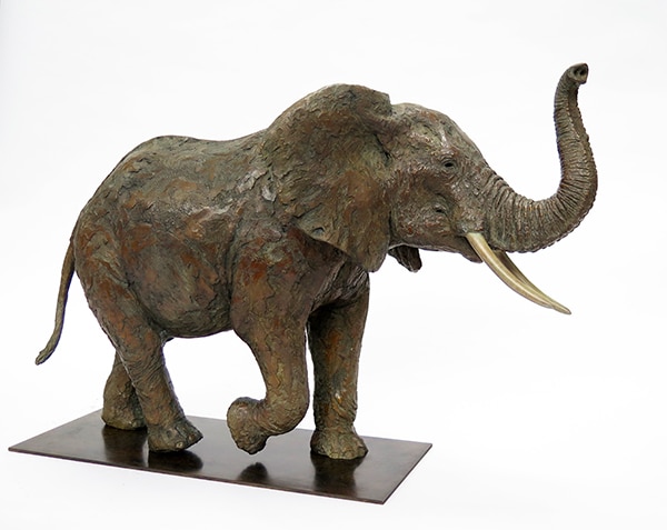 Namibie Pierre-Jean Chabert - Galerie Don Carli