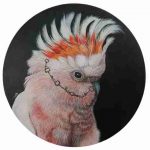 Oeuvre Cacatoès Punk Diam - 40cm - Galerie Don Carli