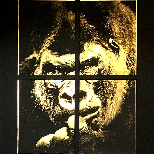 Oeuvre hover Jean-Philippe Rigotti