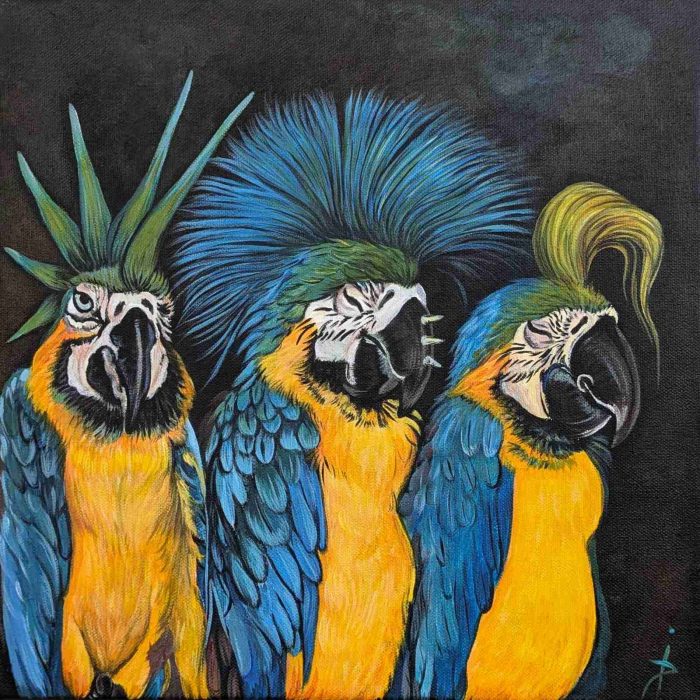 Oeuvre Trio d'Aras Punk - 30x30cm - Galerie Don Carli