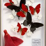 Anyway the wind blows - Benjamin Pietri - Galerie Don Carli