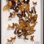 Autumn leaves - Benjamin Pietri - Galerie Don Carli