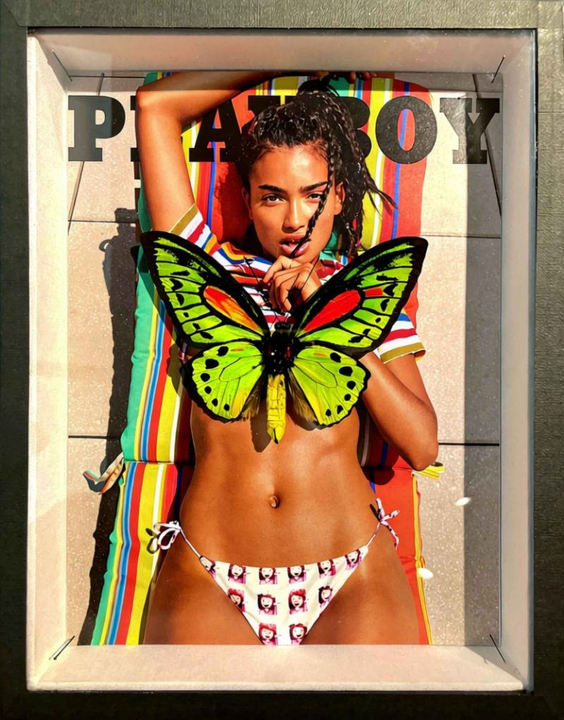 Caila Samony - Benjamin Pietri - Galerie Don Carli