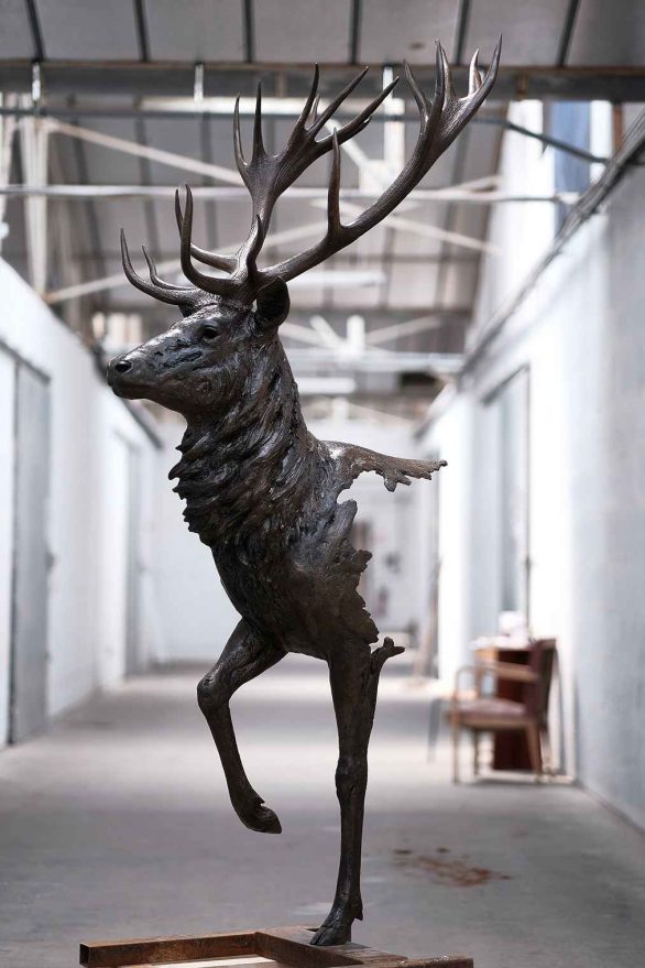 Le grand cerf couverture Pierre-Jean Chabert