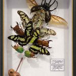 Lil' hunter - Benjamin Pietri - Galerie Don Carli