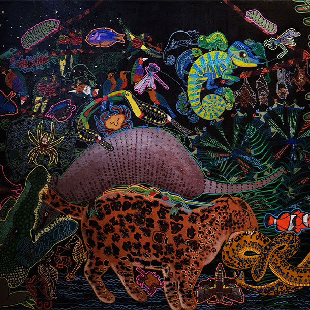 Oeuvre Hover Coline Renard Raposa