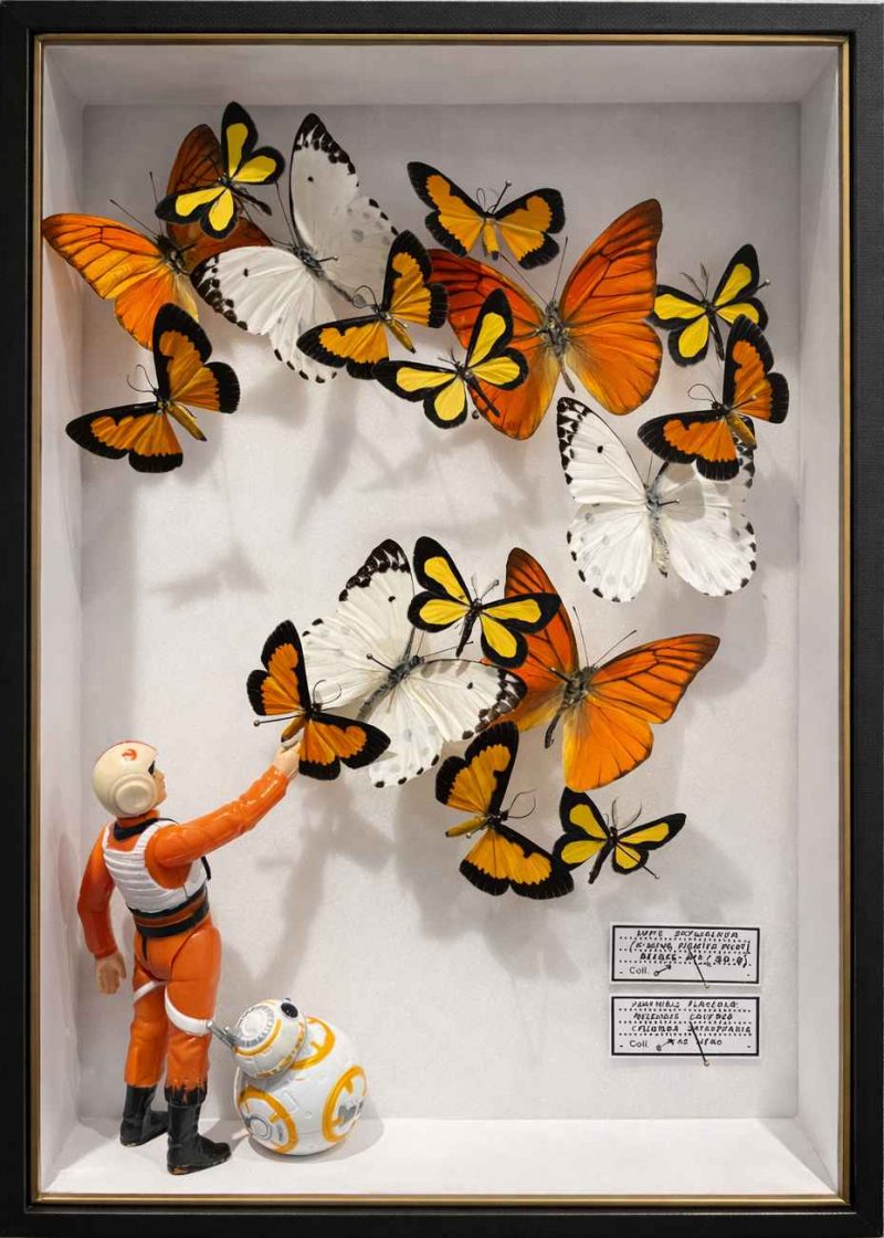 Sarabande - Benjamin Pietri - Galerie Don Carli