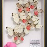 Morphea whisper - 19,5 x 26 cm - Benjamin Pietri